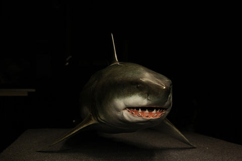 The Great White Shark Sculpture