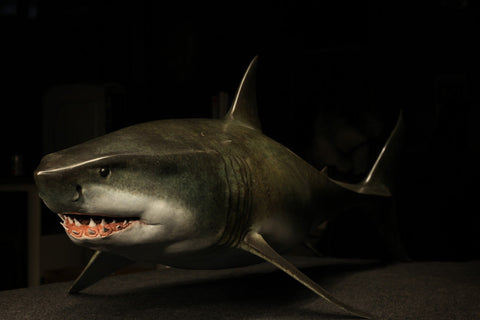 The Great White Shark Sculpture