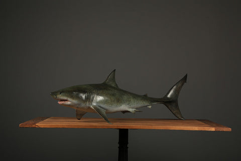 The Great White Shark Sculpture